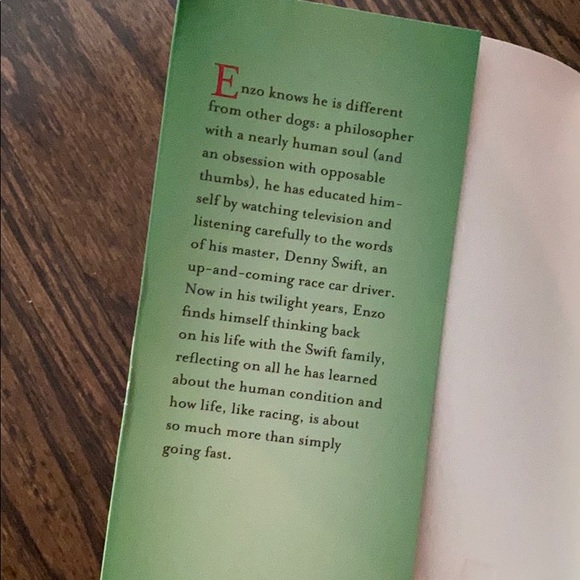 The Art of Racing in the Rain - Picture 2 of 3